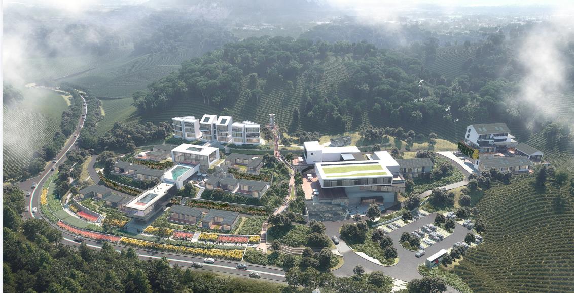 大发500-追求康健,你我一起生长