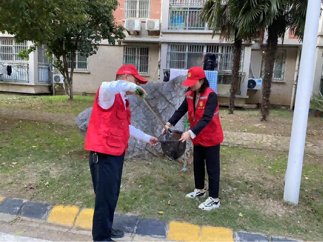 汇聚自愿实力 服务温暖人心