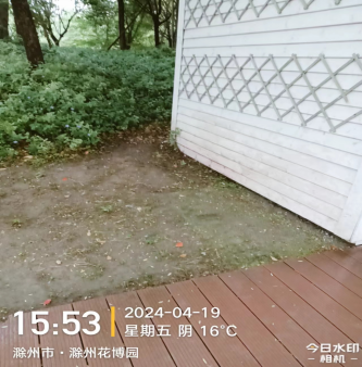 大发500-追求康健,你我一起生长