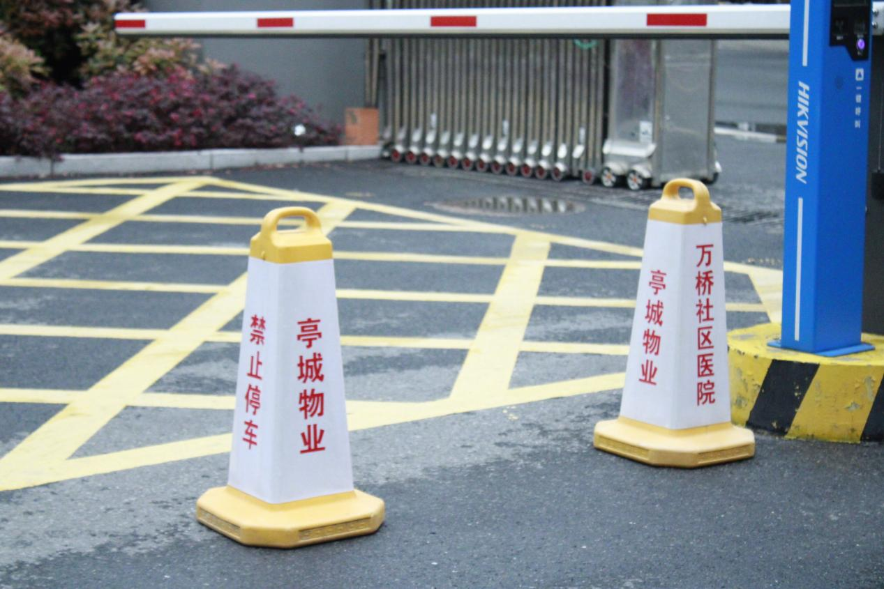 大发500-追求康健,你我一起生长