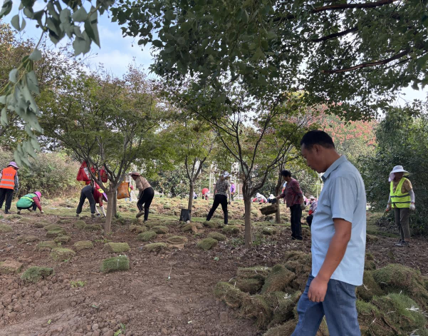 大发500-追求康健,你我一起生长