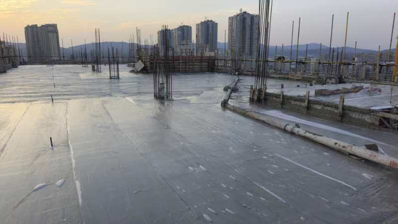 大发500-追求康健,你我一起生长