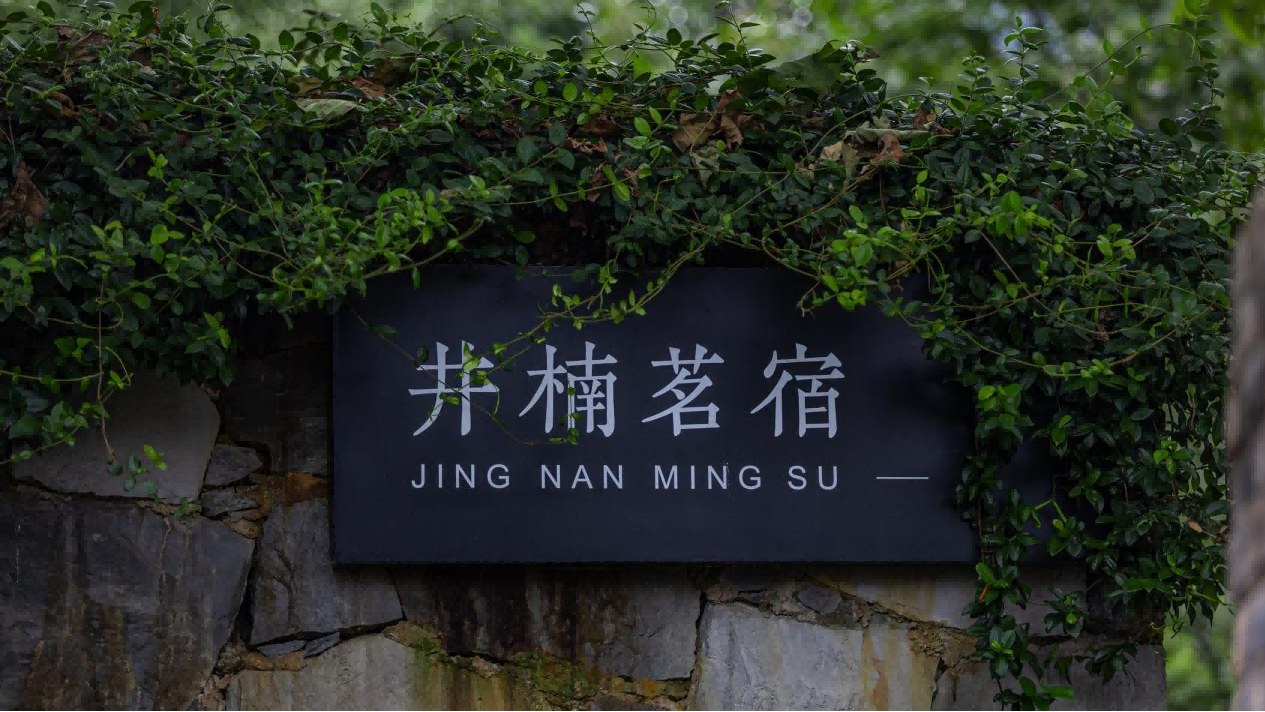 大发500-追求康健,你我一起生长