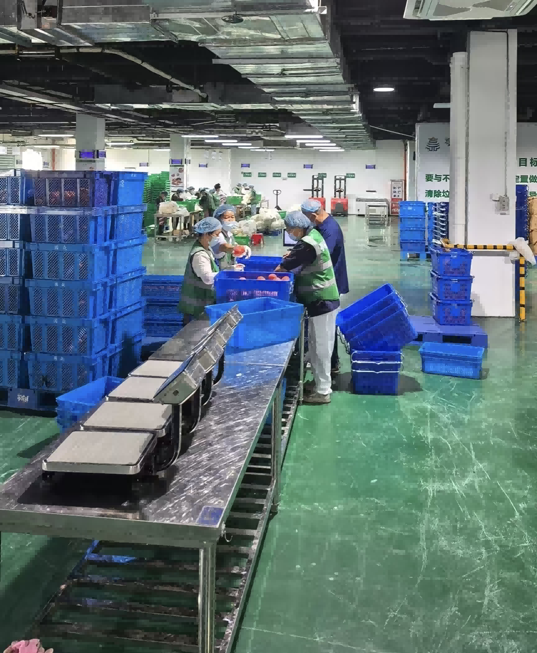 大发500-追求康健,你我一起生长