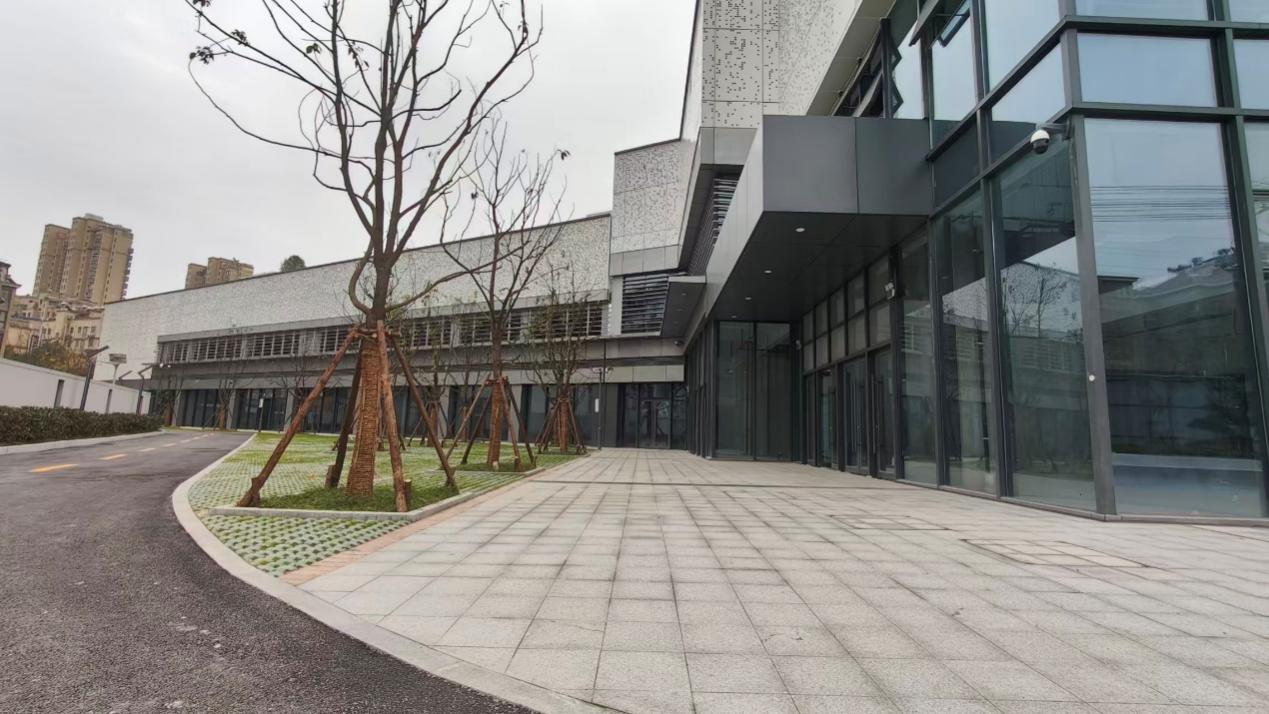 大发500-追求康健,你我一起生长